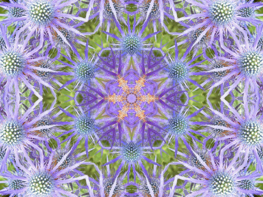 394270 (a): :2400x1800